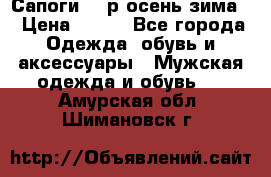 Сапоги 35 р.осень-зима  › Цена ­ 700 - Все города Одежда, обувь и аксессуары » Мужская одежда и обувь   . Амурская обл.,Шимановск г.